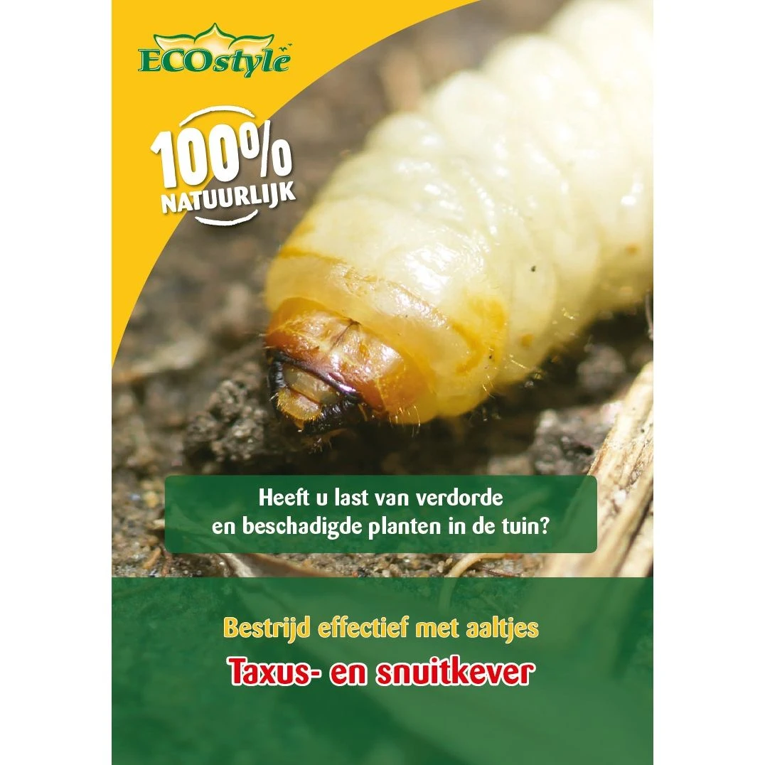 Ecostyle Aaltjes Tegen Larven Taxus-kever H 50 M² 1 Ecostyle Aaltjes Tegen Larven Taxus-kever H 50 M²