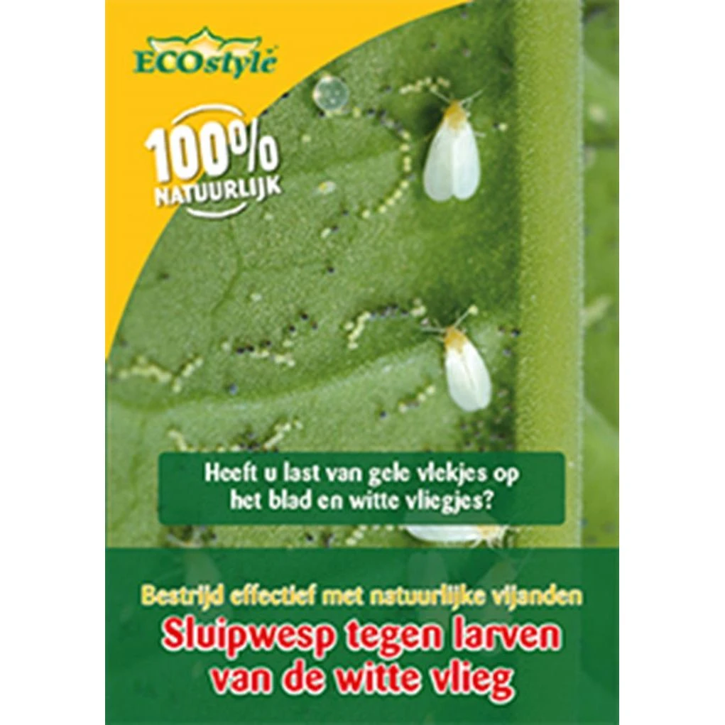 Ecostyle Sluipwesp Tegen Larven Witte Vlieg 1 Ecostyle Sluipwesp Tegen Larven Witte Vlieg