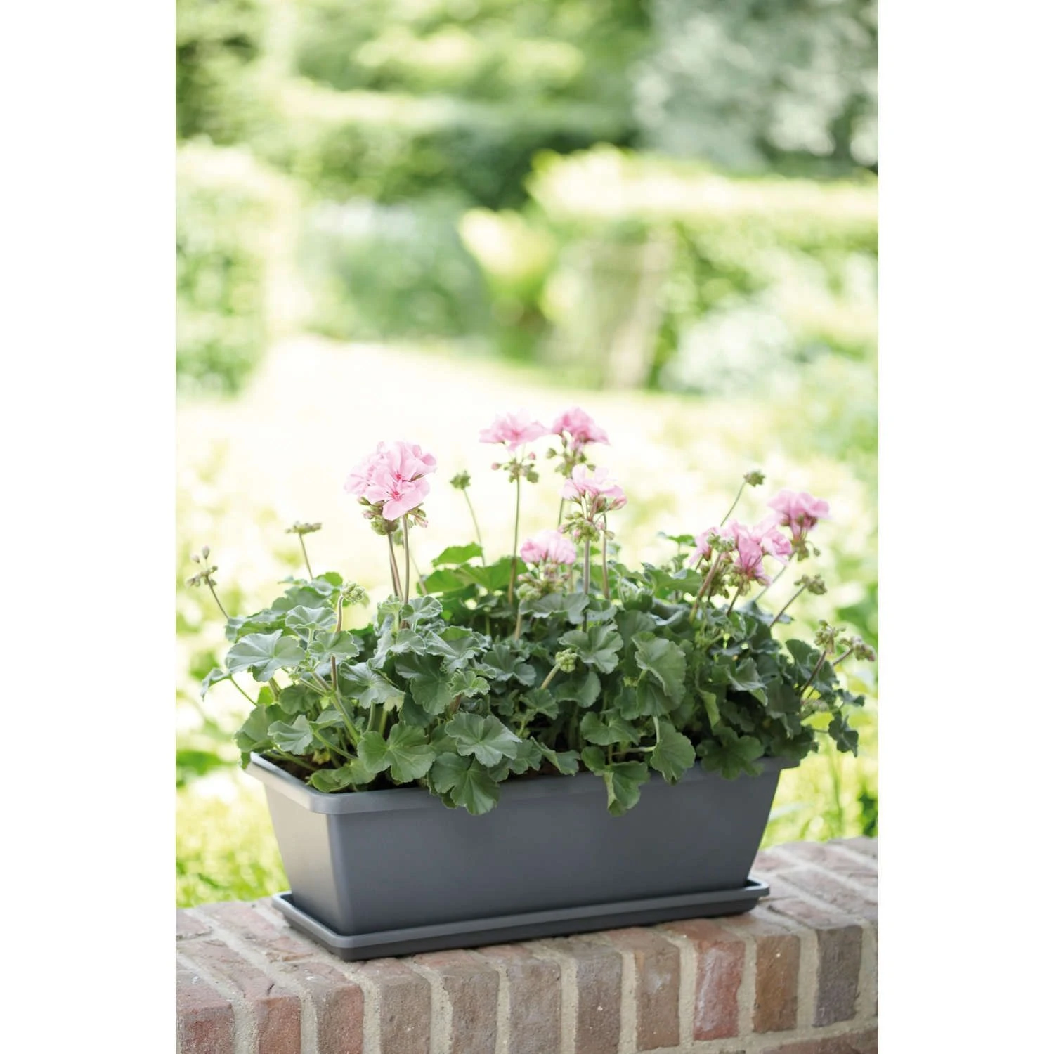 Elho Barcelona Trough Balkonbak 90 Antraciet 2 Elho Barcelona Trough Balkonbak 90 Antraciet - Afbeelding 2