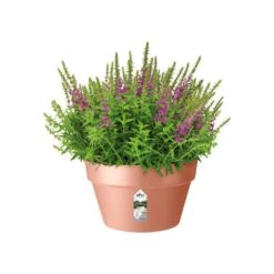 Elho Loft Urban Bowl 35 Delicate Pink 3 Elho Loft Urban Bowl 35 Delicate Pink -Tuin & Terras Verkoopwinkel elho loft urban bowl 35 delicate pink 1024x1024 61e151c95489c l