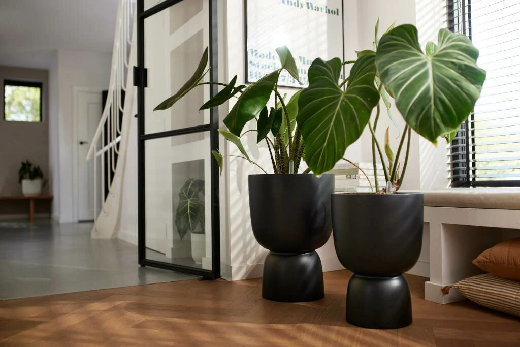 Elho Pure Coupe 35 Black 2 Elho Pure Coupe 35 Black - Afbeelding 2