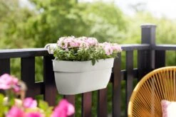 Elho Vibia Campana Easy Hanger Large Zijdewit -Tuin & Terras Verkoopwinkel elho vibia campana easy hanger large zijdewit 1024x682 61efe4cb8764d l