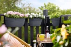 Elho Vibia Campana Easy Hanger Medium Anthraciet -Tuin & Terras Verkoopwinkel elho vibia campana easy hanger medium anthraciet 1024x682 61e963649290e l