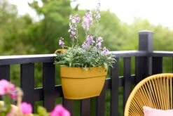 Elho Vibia Campana Easy Hanger Medium Honinggeel -Tuin & Terras Verkoopwinkel elho vibia campana easy hanger medium honinggeel 1024x682 61e94f6e1ea7a l