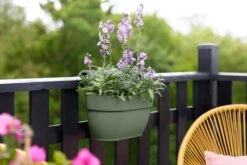 Elho Vibia Campana Easy Hanger Medium Pistache Groen 7 Elho Vibia Campana Easy Hanger Medium Pistache Groen -Tuin & Terras Verkoopwinkel elho vibia campana easy hanger medium pistache groen 1024x682 61e9615396f99 l