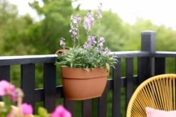 Elho Vibia Campana Easy Hanger Medium Terra 7 Elho Vibia Campana Easy Hanger Medium Terra -Tuin & Terras Verkoopwinkel elho vibia campana easy hanger medium terra 1024x683 6427f76f2d4f0 l