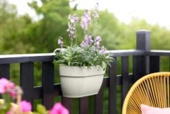 Elho Vibia Campana Easy Hanger Medium Zijdewit -Tuin & Terras Verkoopwinkel elho vibia campana easy hanger medium zijdewit 1024x682 61e9653bc75b6 l