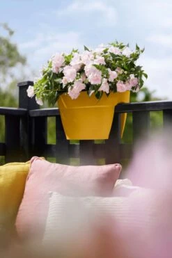 Elho Vibia Campana Flower Bridge 40 Honinggeel -Tuin & Terras Verkoopwinkel elho vibia campana flower bridge 40 honinggeel 1023x1536 61e55283f0787 l