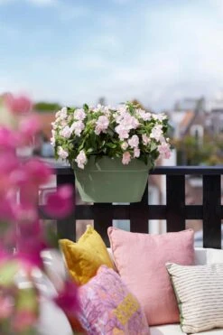 Elho Vibia Campana Flower Bridge 40 Pistachegroen 7 Elho Vibia Campana Flower Bridge 40 Pistachegroen -Tuin & Terras Verkoopwinkel elho vibia campana flower bridge 40 pistachegroen 1023x1536 61e56696cfe38 l