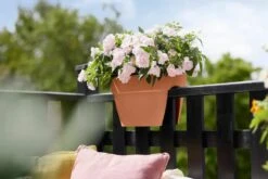 Elho Vibia Campana Flower Bridge 40 Terra -Tuin & Terras Verkoopwinkel elho vibia campana flower bridge 40 terra 1024x683 6427f38bb03cf l