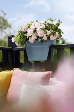 Elho Vibia Campana Flower Bridge 40 Vintage Blauw -Tuin & Terras Verkoopwinkel elho vibia campana flower bridge 40 vintage blauw 1023x1536 61e55e091e0d6 l