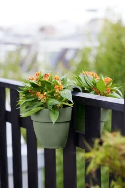 Elho Vibia Campana Flower Twin 21 Pistachegroen 7 Elho Vibia Campana Flower Twin 21 Pistachegroen -Tuin & Terras Verkoopwinkel elho vibia campana flower twin 21 pistachegroen 1023x1536 61e5666c4552b l