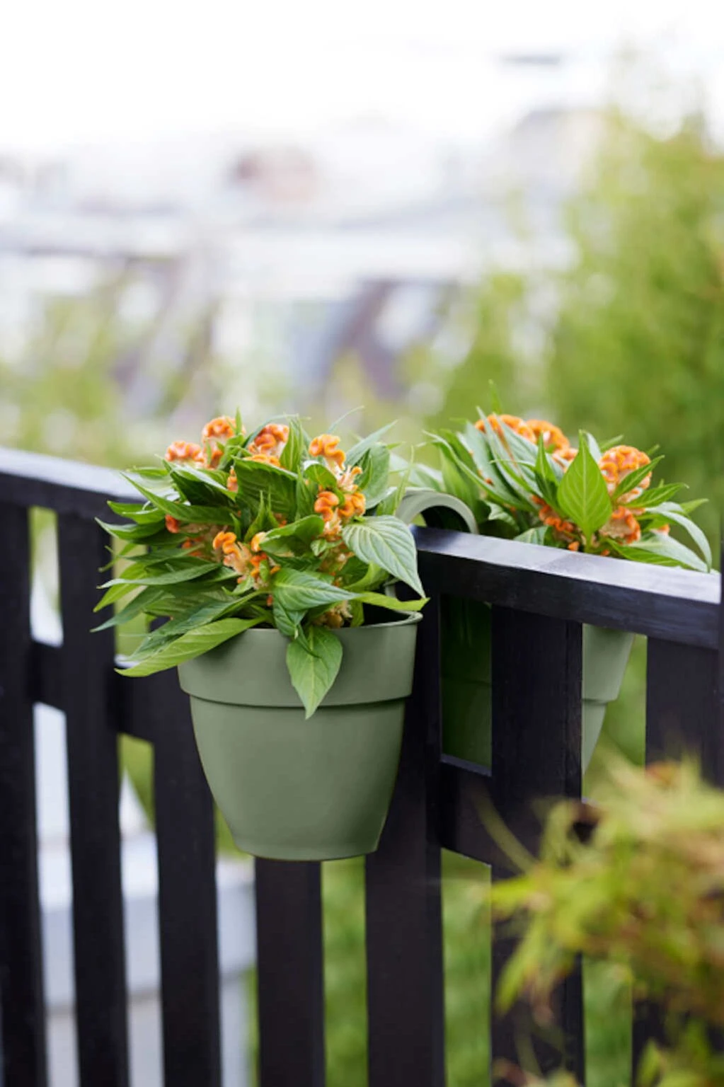 Elho Vibia Campana Flower Twin 21 Pistachegroen 4 Elho Vibia Campana Flower Twin 21 Pistachegroen - Afbeelding 4