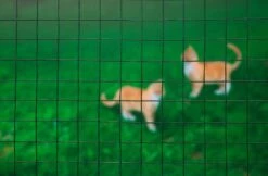 Nature Gaas Vierkant Geplastificeerd 1 X 5 Meter