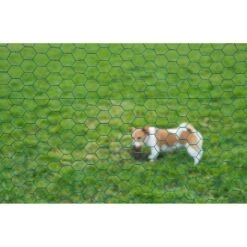 Nature Gaas Zeskantig Geplastificeerd 1 X 5 Meter