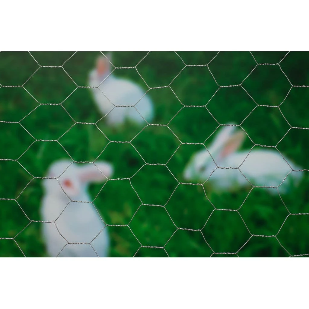 Nature Gaas Zeskantig Verzinkt 1 M X 2,5 M 1 Nature Gaas Zeskantig Verzinkt 1 M X 2,5 M