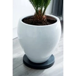 Nature Planttrolley Antraciet 29 Cm Rond 5 Nature Planttrolley Antraciet 29 Cm Rond -Tuin & Terras Verkoopwinkel nature planttrolley antraciet 29 cm rond 1611764488 2 l