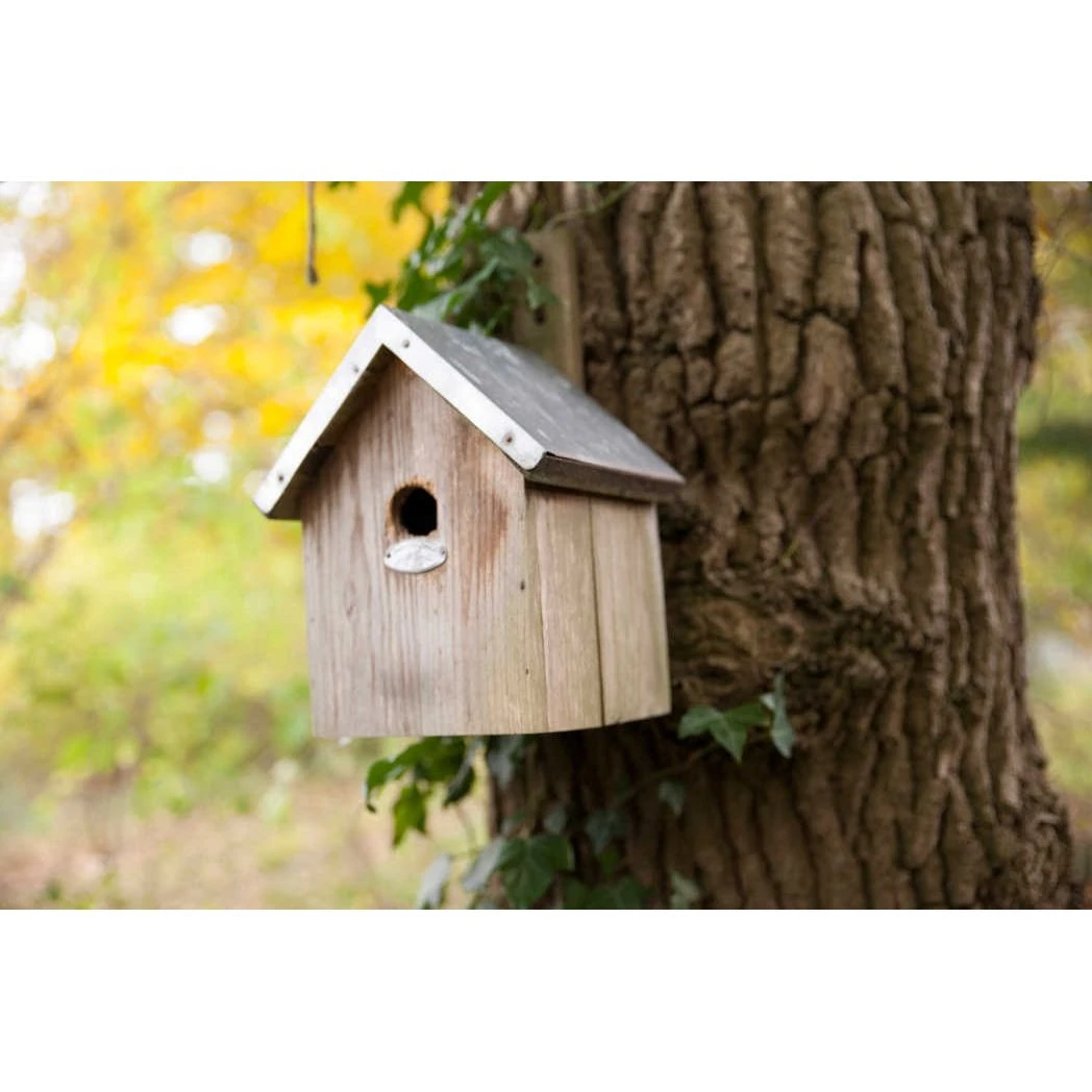 ESSCHERT DESIGN Pimpelmees Vogelhuisje 2 ESSCHERT DESIGN Pimpelmees Vogelhuisje - Afbeelding 2