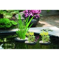 Velda Floating Plant Island D35 Cm -Tuin & Terras Verkoopwinkel velda floating plant island 35 cm 1 l
