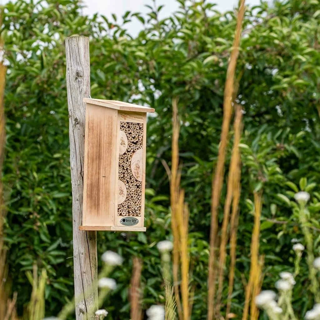 Vogelbescherming Insectenhuis Floreana 3 Vogelbescherming Insectenhuis Floreana - Afbeelding 3